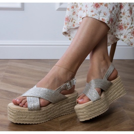 Sandales Silver Espadrille sur une plate-forme avec rayures argent 2