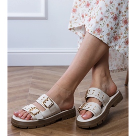 Volets plats beige avec des pinces sur les rayures 2 Volets plats beige avec des pinces sur les rayures 2