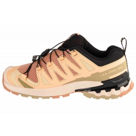 Salomon XA Pro 3D V9 Chaussures de course en L47589100 brun 1 Salomon XA Pro 3D V9 Chaussures de course en L47589100 brun 1