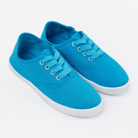 Shelvt Baskets classiques bleues 1