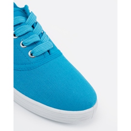 Shelvt Baskets classiques bleues 4