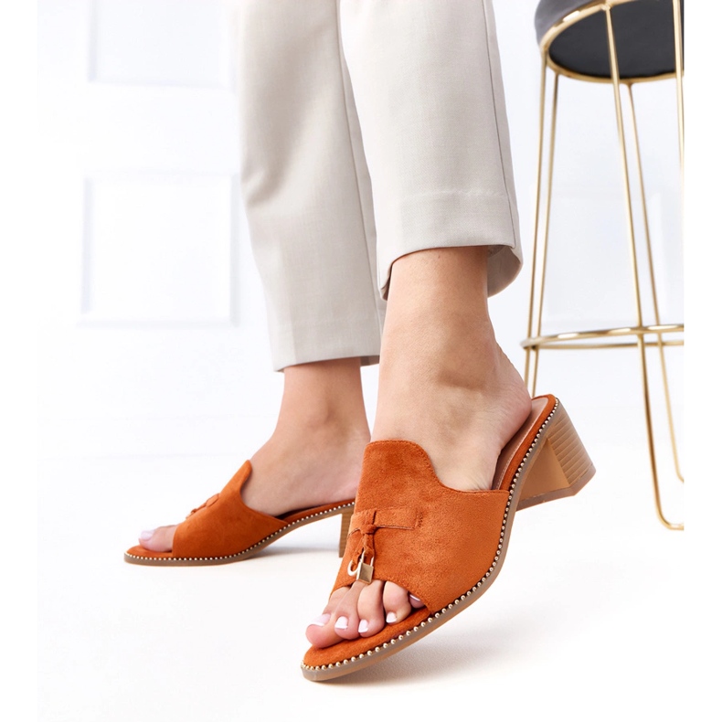 Flip brun -flops sur l'ornement de bouleau 2