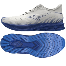 MIZUNO Wave Skyrise 6 M J1GC250954 Chaussures 1