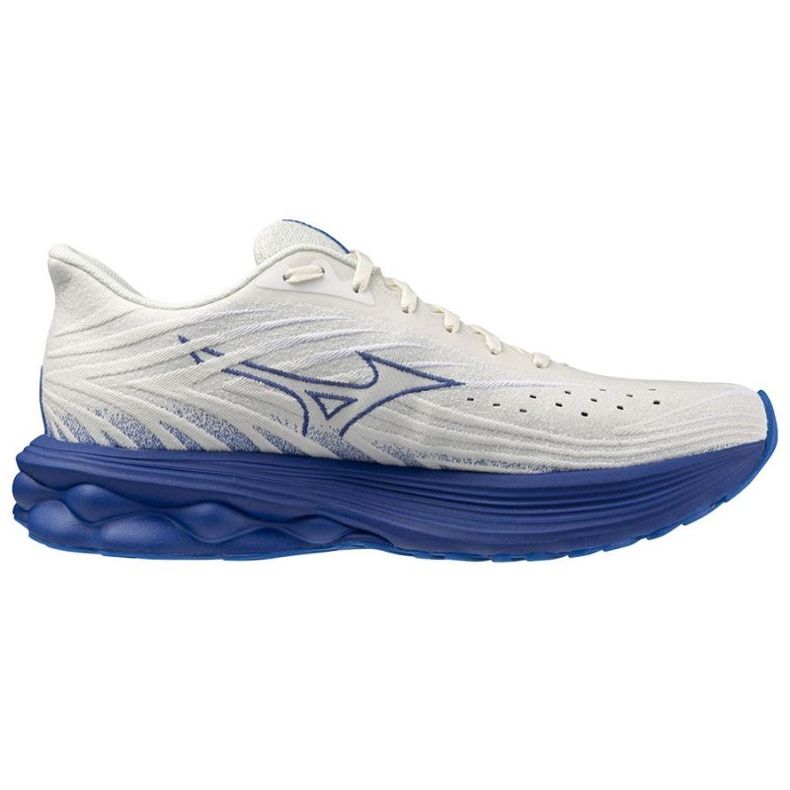 MIZUNO Wave Skyrise 6 M J1GC250954 Chaussures 2