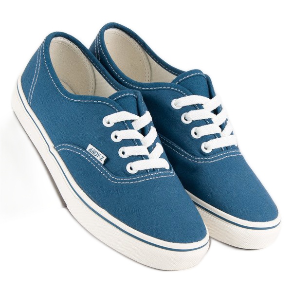 Andy Z Baskets bleues 1