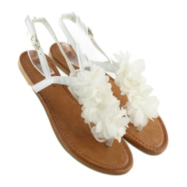 Sandales blanches à fleurs CK36P Blanc 1