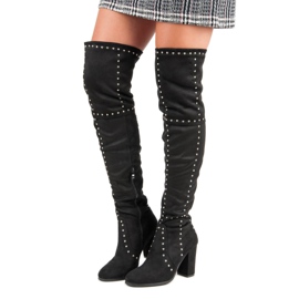 Seastar Bottes de roche sur un poteau le noir 1