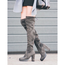 Vices Cuissardes en daim gris 7