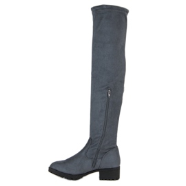 Queentina Cuissardes en daim gris 1