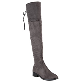 Queen Vivi Cuissardes en daim gris 1