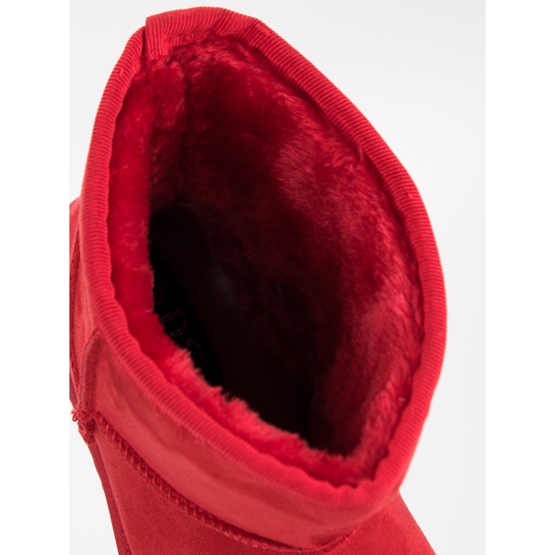 SDS Mucles rouges 1 SDS Mucles rouges 1