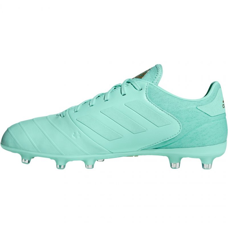 Chaussures de football Adidas Copa 18.2 FG M DB2446 bleu 2