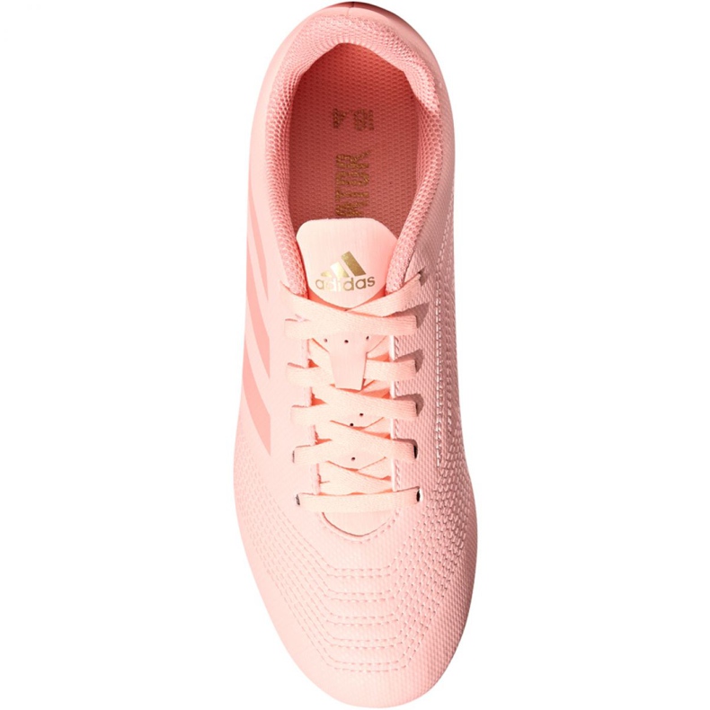 Chaussures de foot Adidas Predator 18.4 FxG Jr DB2322 multicolore rose 2