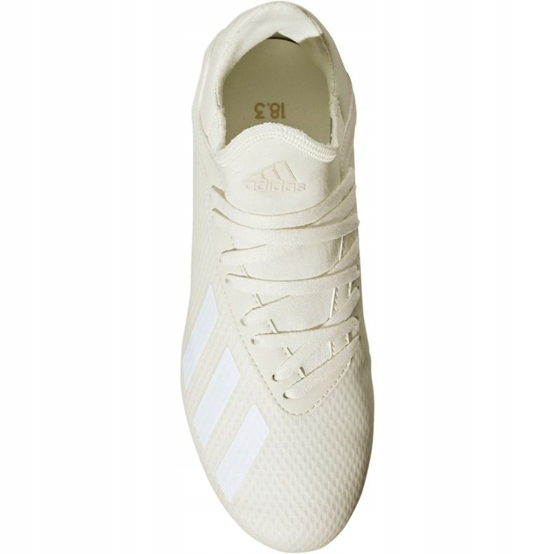 Chaussures de foot Adidas X 18.3 Fg Jr DB2417 multicolore blanche 2