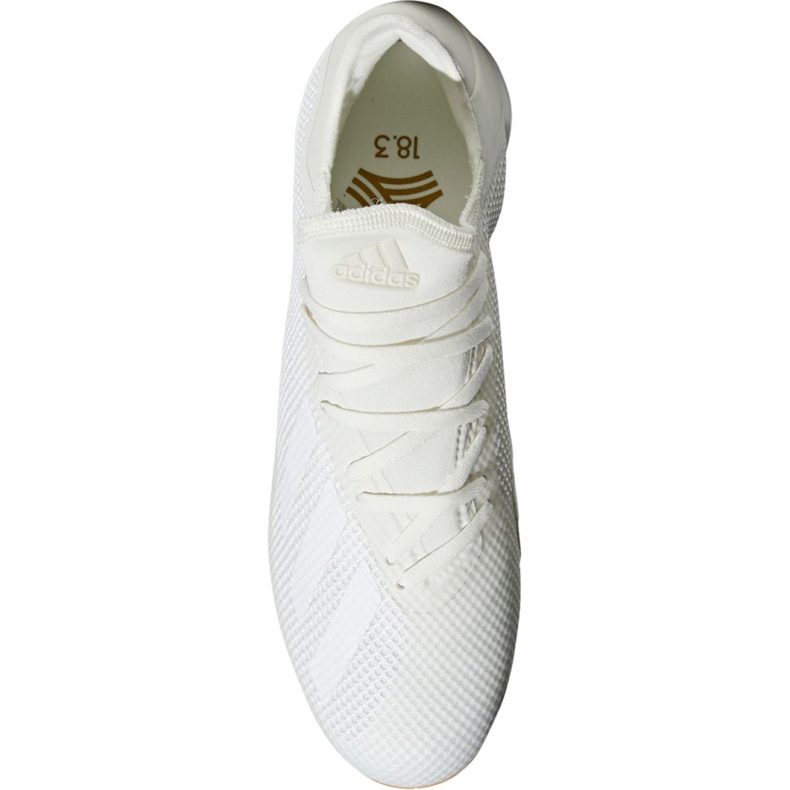 Chaussures d'intérieur adidas X Tango 18.3 En M DB2439 blanche beige 1 Chaussures d'intérieur adidas X Tango 18.3 En M DB2439 blanche beige 1