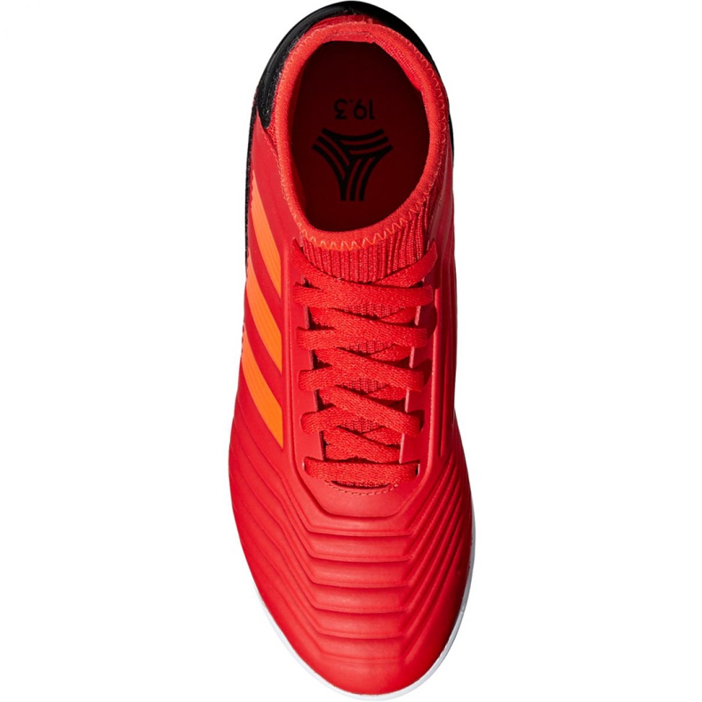 Chaussures indoor adidas Predator 19.3 In Jr CM8544 rouge rouge 2