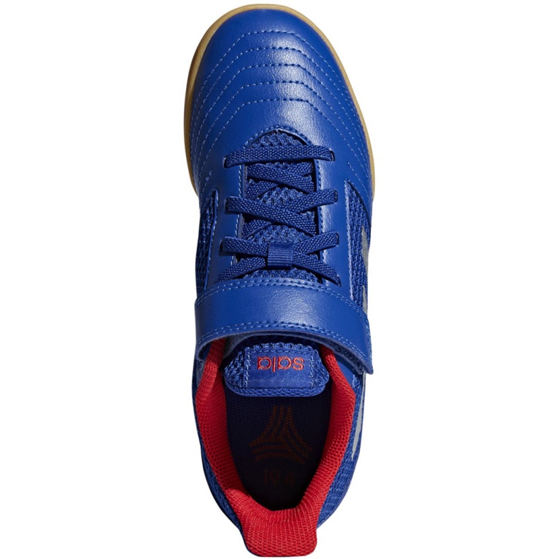 Chaussures indoor adidas Predator 19.4 In Sala Jr CM8550 bleu bleu 2