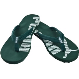 Puma Epic Flip v2 M 360248 27 vert 3