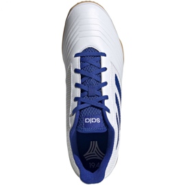 Chaussures indoor adidas Predator 19.4 In Sala M D97974 blanc blanc 2