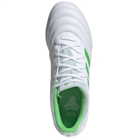 Chaussures de foot Adidas Copa 19.3 Tf M D98064 blanche blanche 1