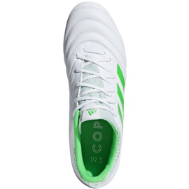 Chaussures de football Adidas Copa 19.3 Fg M BB9188 bleu blanche 2