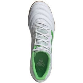 Chaussures indoor adidas Copa 19.3 In Sala M BC0559 blanc blanc 1