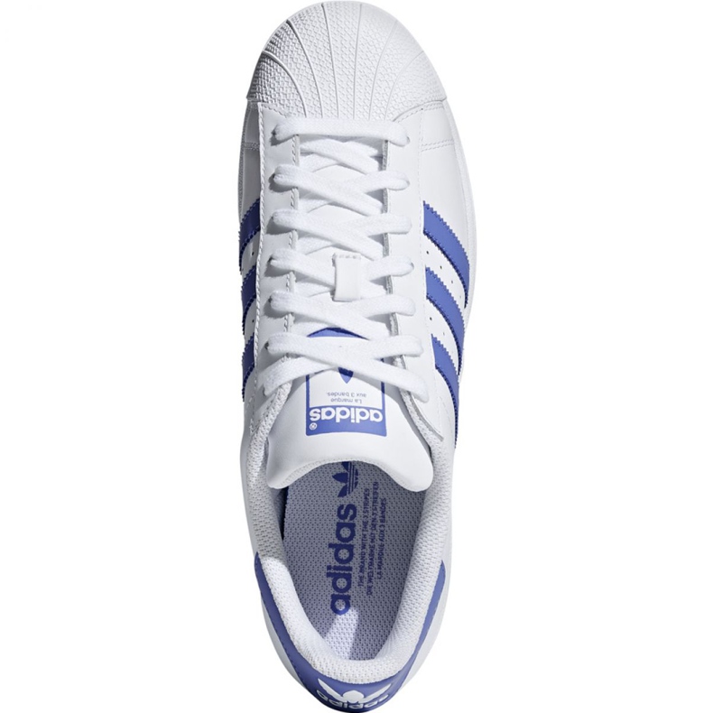 Chaussures Adidas Superstar M G27810 blanc 2