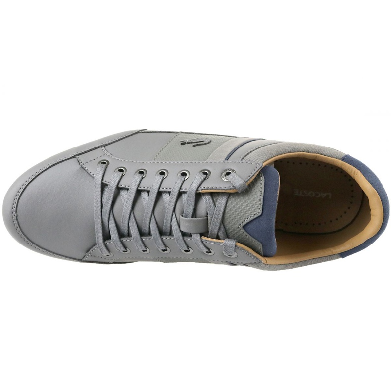 Chaussures Lacoste Chaymon 118 1 M CAM0011G1N81 gris 2