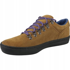 Chaussures Timberland Adv 2.0 Cupsole Alpine Ox M A1SHV brun 1