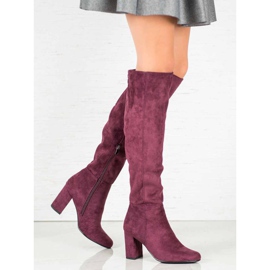 Goodin Bottes en daim violet 3
