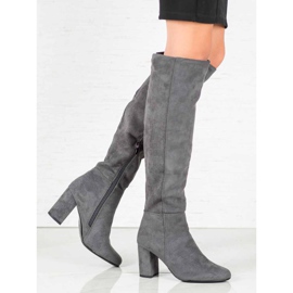 Goodin Bottes en daim grises 1