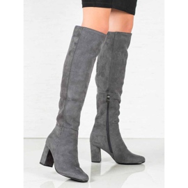 Goodin Bottes en daim grises 2