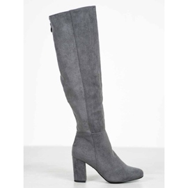 Goodin Bottes en daim grises 3