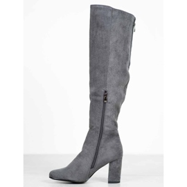 Goodin Bottes en daim grises 5