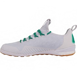 Adidas Ace Tango 17.1 In M BA8538 chaussures de football blanche blanche 1
