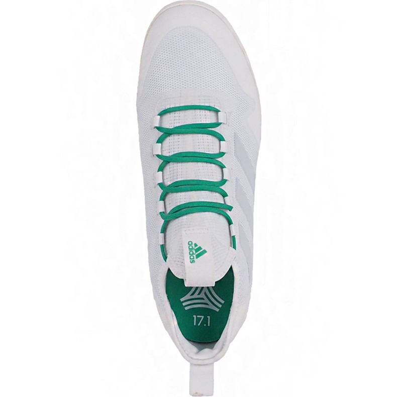 Adidas Ace Tango 17.1 In M BA8538 chaussures de football blanc blanc 2
