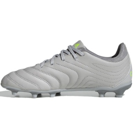Chaussures de foot Adidas Copa 20.3 Fg Jr EF8332 gris gris 2