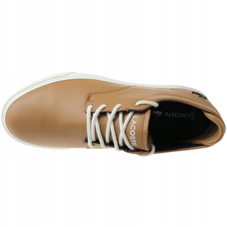 Lacoste Esparre 118 1M CAM0023BW7 brun 2
