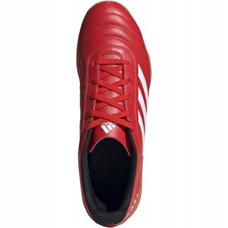 Chaussures d'intérieur adidas Copa 20.4 In M EF1957 rouge rouge 1