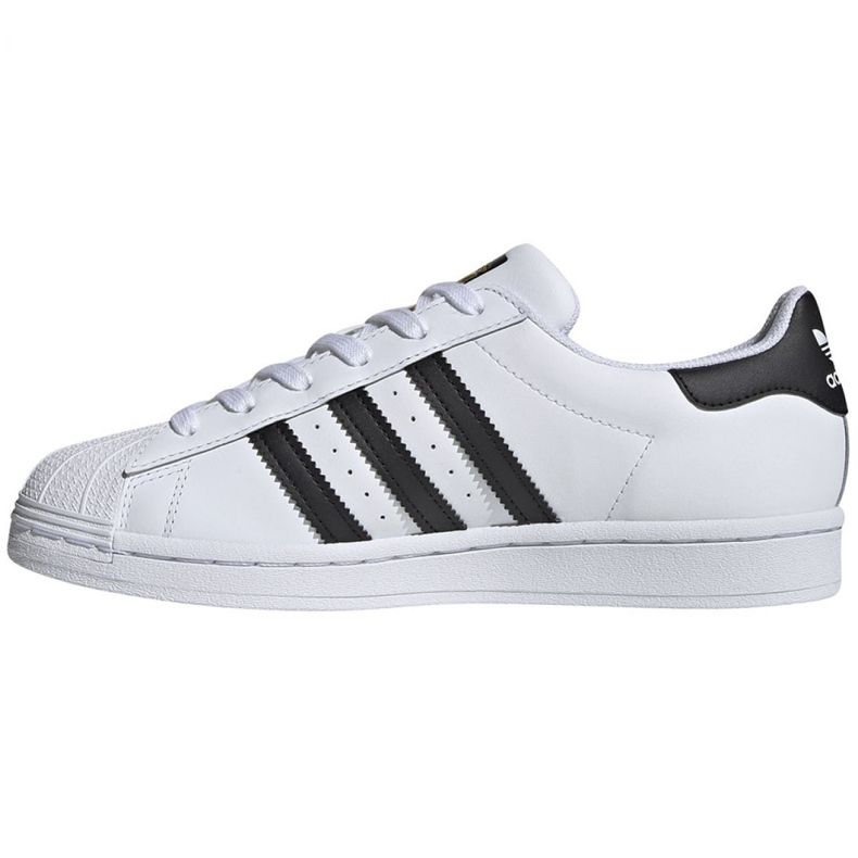 Chaussures Adidas Superstar W FV3284 blanc 2