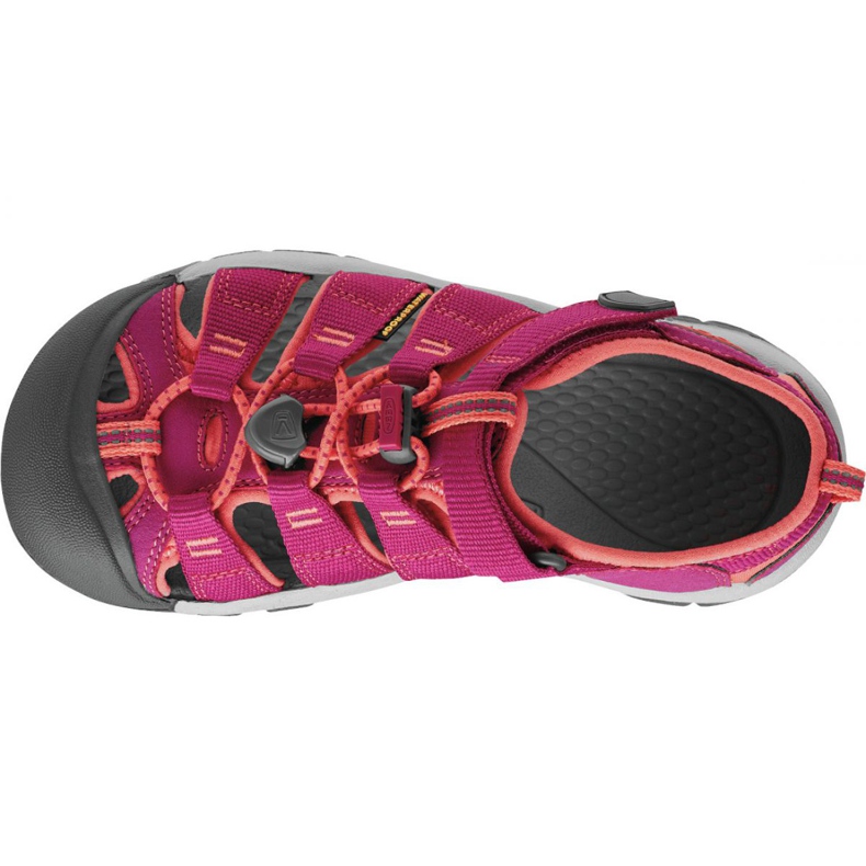 PANTHERA Keen Newport H2 Jr 1014251 rose 2
