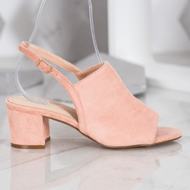 Small Swan Chaussures de poudre sur un bar rose 1 Small Swan Chaussures de poudre sur un bar rose 1