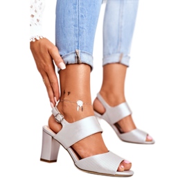 Sandales À Talons Hauts Pour Femmes Sergio Leone Argent SK778 brun gris 1