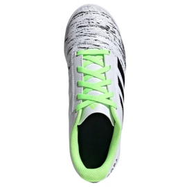 Chaussures d'intérieur adidas Copa 20.4 In Jr EF1927 multicolore blanche 1