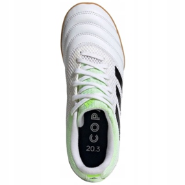 Chaussures indoor adidas Copa 20.3 In Sala Jr EF1916 multicolore blanc 1