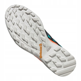 Chaussures Adidas Terrex Swift R2 Gtx M FV6843 bleu marin vert 2