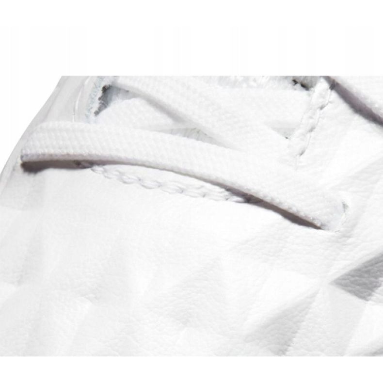 Chaussures de football Nike Legend 8 Elite Fg M AT5293-163 multicolore blanc 2