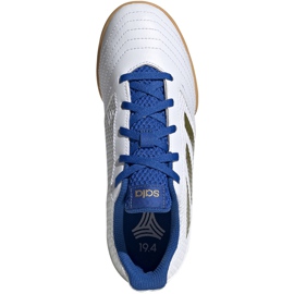 Chaussures de football adidas Predator 19.4 In Sala Junior blanc et bleu EG2829 1