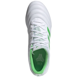 Chaussures de foot Adidas Copa 19.3 Tf D98064 blanc blanc 1