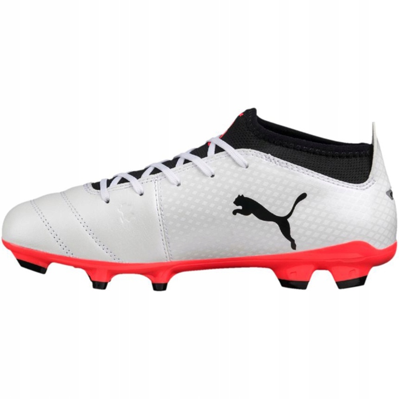Chaussures de football Puma One 17.1 Fg 104062 01 blanc 1